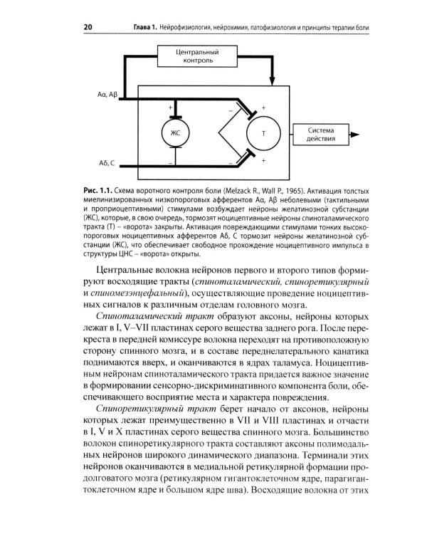 Боль. Практическое руководство