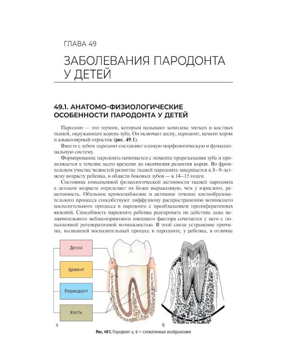 Дополнительное изображение книги «Стоматология детского возраста: Учебник»