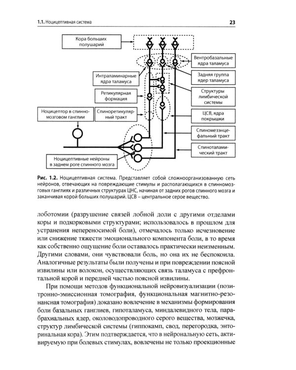 Боль. Практическое руководство