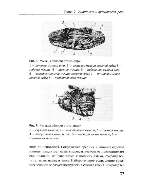 Дизартрия (обл.)