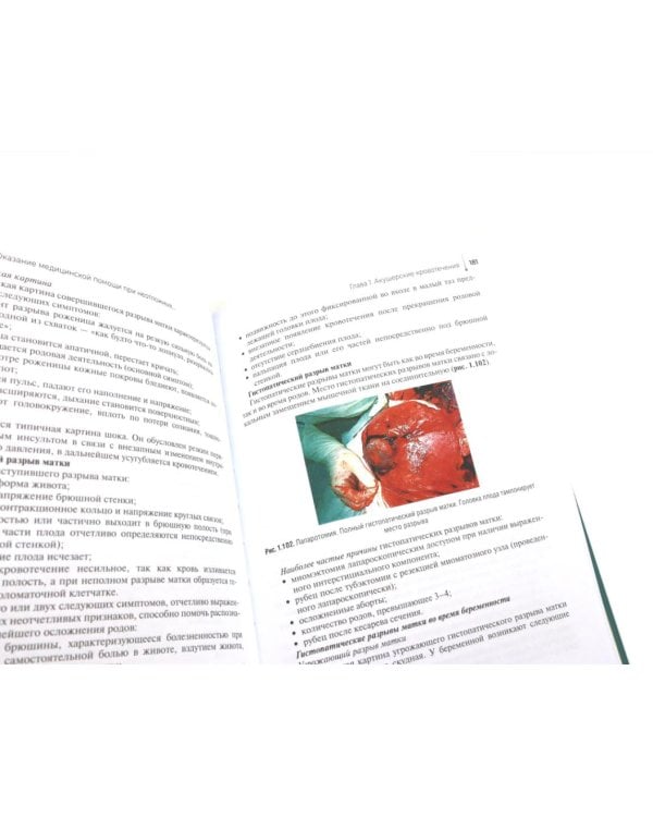 Оказание медицинской помощи в экстренной форме: Учебник