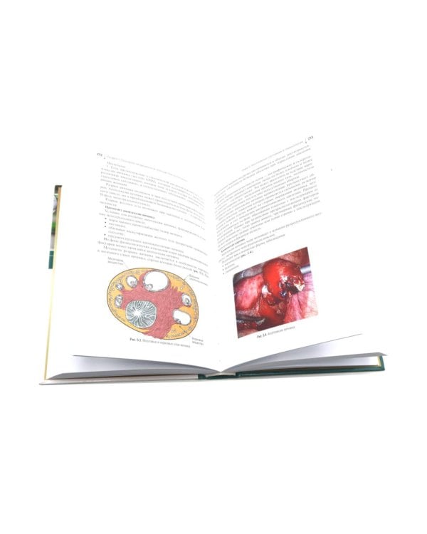 Оказание медицинской помощи в экстренной форме: Учебник