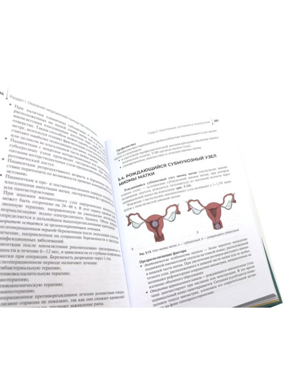 Оказание медицинской помощи в экстренной форме: Учебник