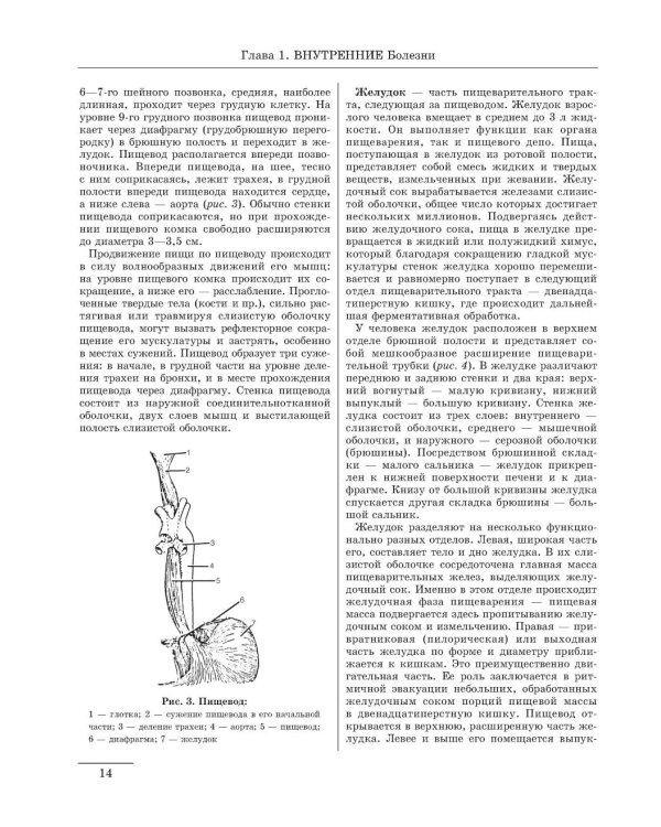 Большая медицинская энциклопедия