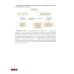 Тактика ведения пациента в пульмонологии: практическое руководство