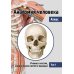 Вместе дешевле Анатомия Человека. Атлас: В 3 т. 2-е изд., перераб. (комплект из 3-х книг)