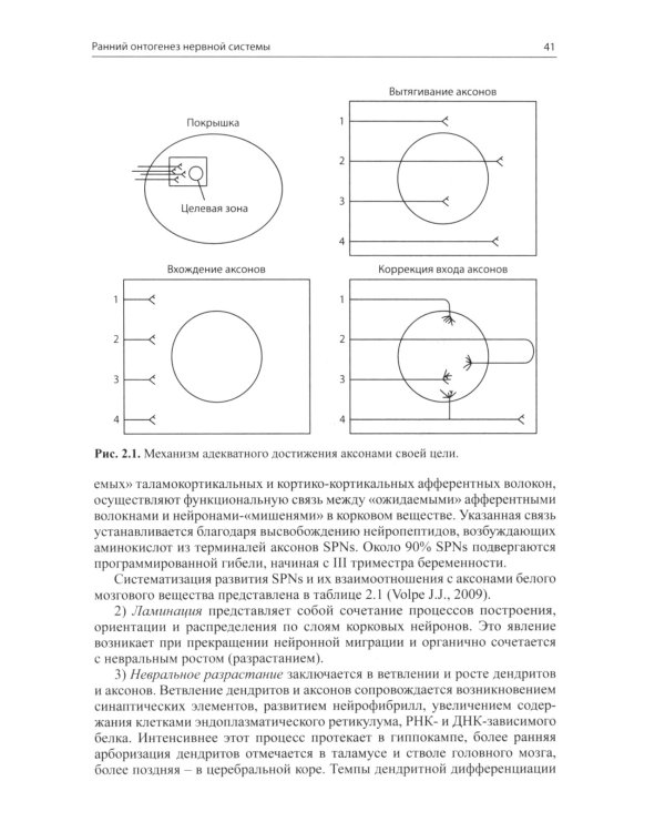 Неврология недоношенных детей. 6-е изд