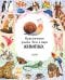Обложка книги «Приключения улитки Элли в мире животных» — Константиновская Ольга, ISBN 9785002119578