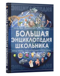 Большая энциклопедия школьника