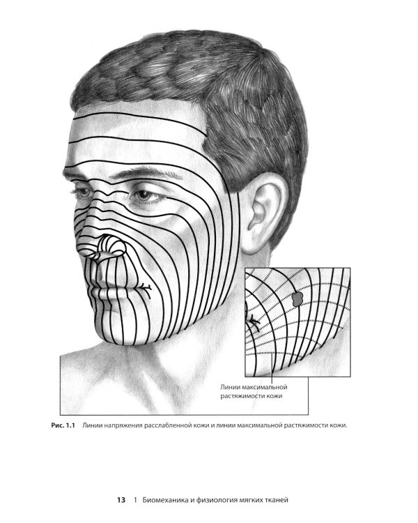 Реконструктивная пластическая хирургия лица: Дифференцированный подход с учетом особенностей эстетических субъединиц. 3-е изд