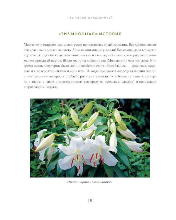 Дополнительное изображение книги «Магия флористики: авторский курс аранжировки композиций: идеи, стиль и профессиональные приемы (подарочные изд.)»
