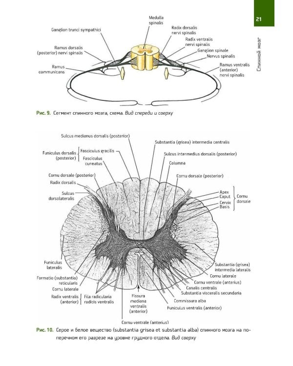 Анатомия Человека. Атлас: В 3 т. 2-е изд., перераб. (комплект из 3-х книг)