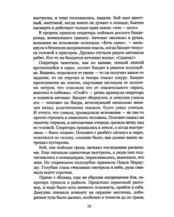 Удар мечом. Чекисты против бандеровцев: роман