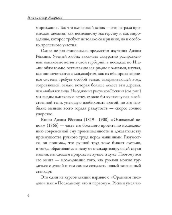 Оливковый венок