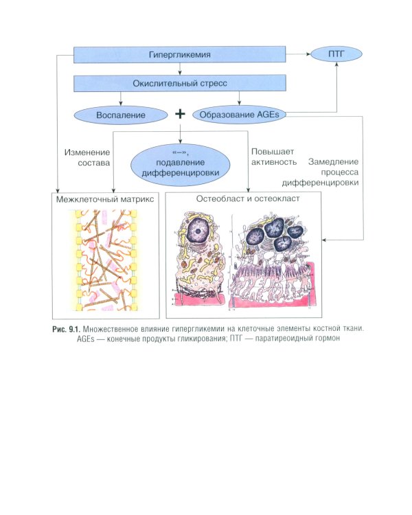 Управление метаболическим здоровьем. В 3-х т.: Т. 3