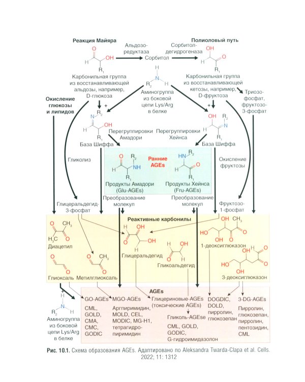 Управление метаболическим здоровьем. В 3-х т.: Т. 3