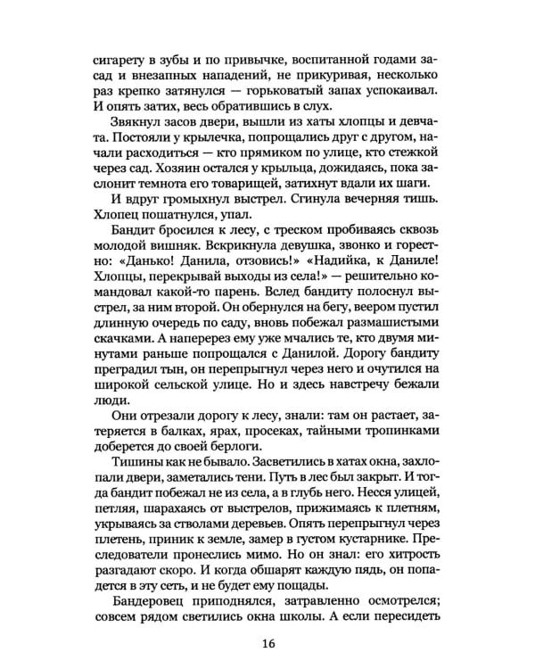 Удар мечом. Чекисты против бандеровцев: роман