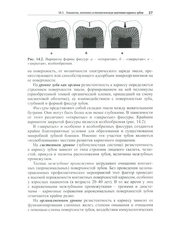Практическая терапевтическая стоматология: Учебное пособие. В 3 т. Т. 2. 11-е изд