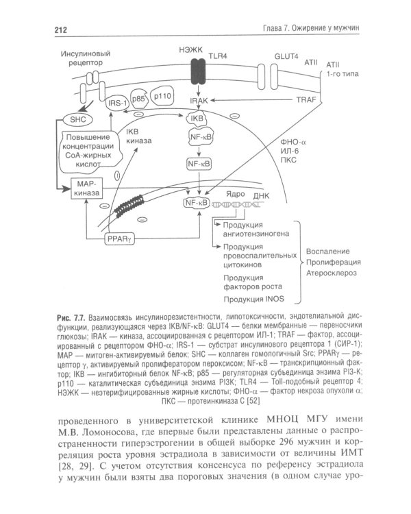 Управление метаболическим здоровьем. В 3-х т.: Т. 3