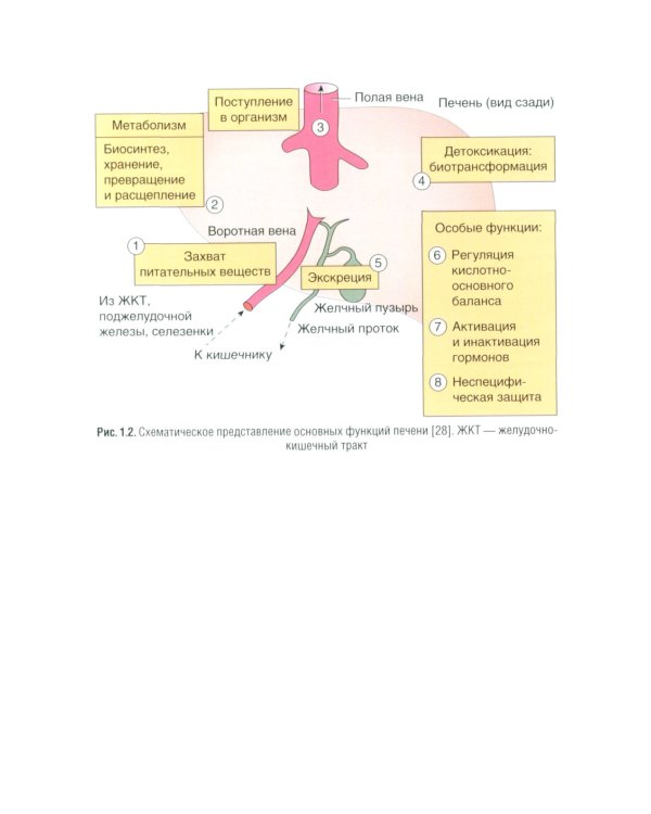 Управление метаболическим здоровьем. В 3-х т.: Т. 3