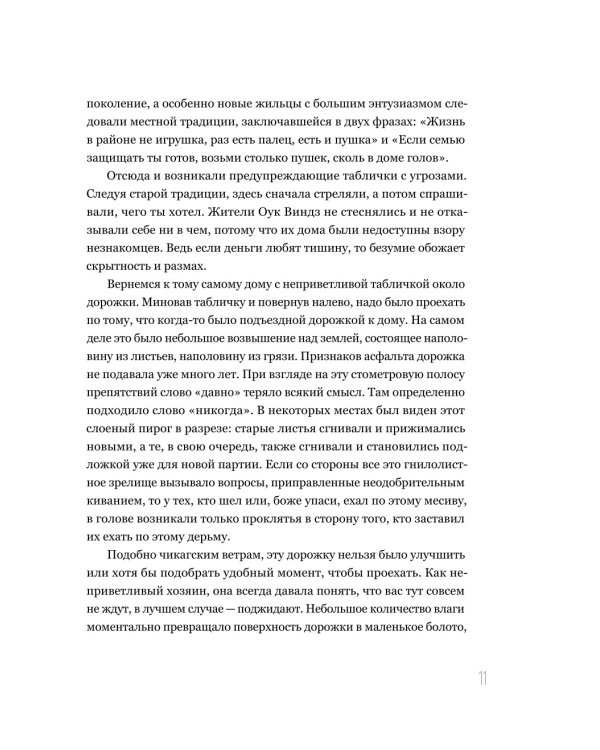 Дополнительное изображение книги «В петле из колец»