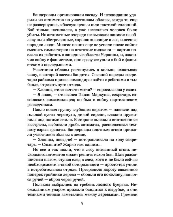 Удар мечом. Чекисты против бандеровцев: роман