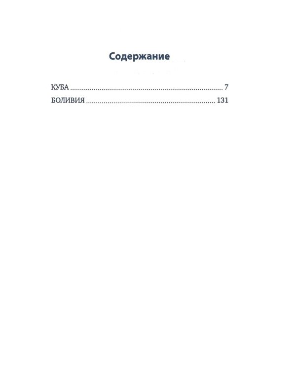 Дети Че Гевары. Партизаны-мученики Латинской Америки