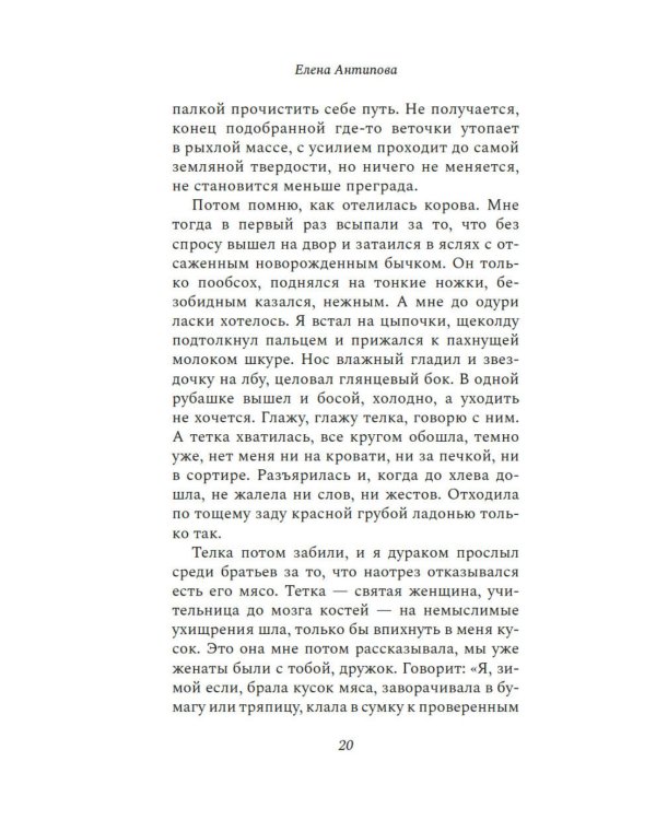 Дружок: роман