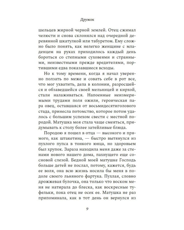 Дружок: роман