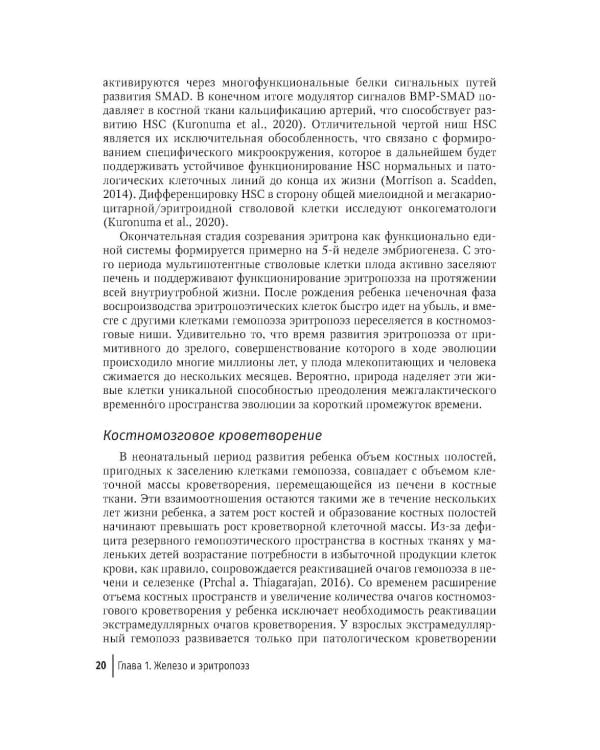 Дополнительное изображение книги «Клиническая феррология»