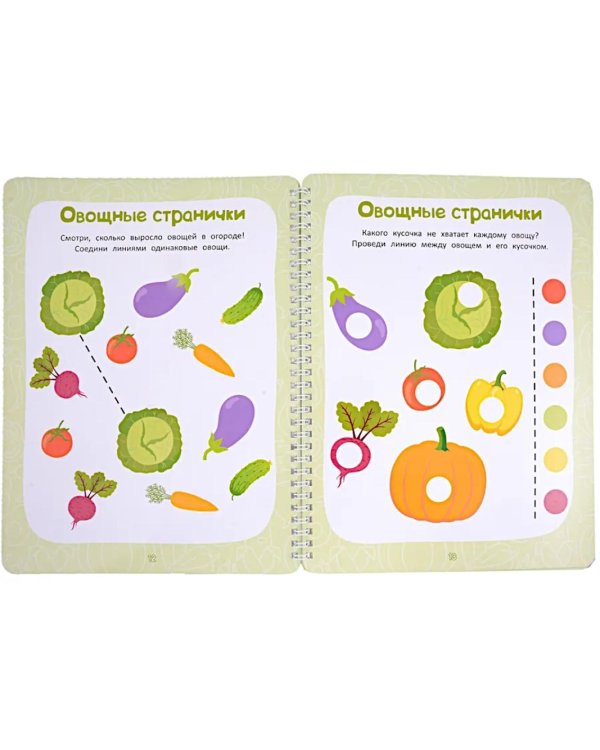 Многоразовая тетрадь. Веселые задания. 2-3 года (+ маркер)