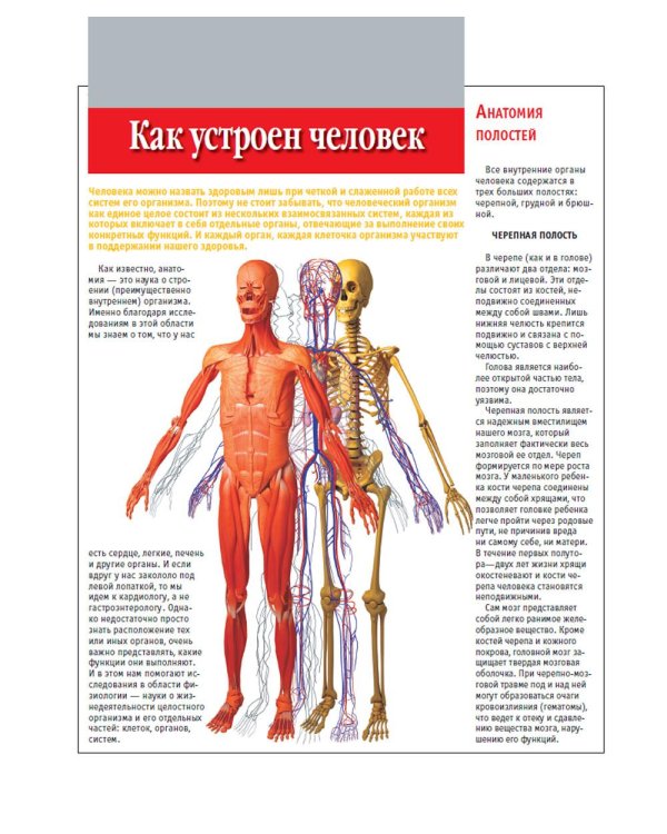 Анатомический атлас. Основы строения и физиологии человека