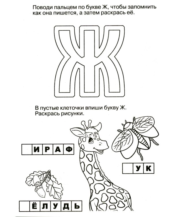 Логопедические прописи. Буквы и звуки Ж-Ш