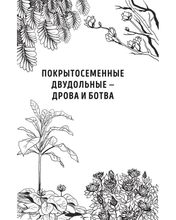 Дополнительное изображение книги «Ботаника антрополога. Как растения создали человека. Цветочки-ягодки»
