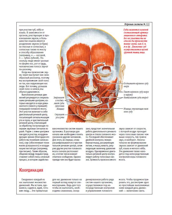 Анатомический атлас. Основы строения и физиологии человека