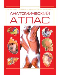 Анатомический атлас. Основы строения и физиологии человека