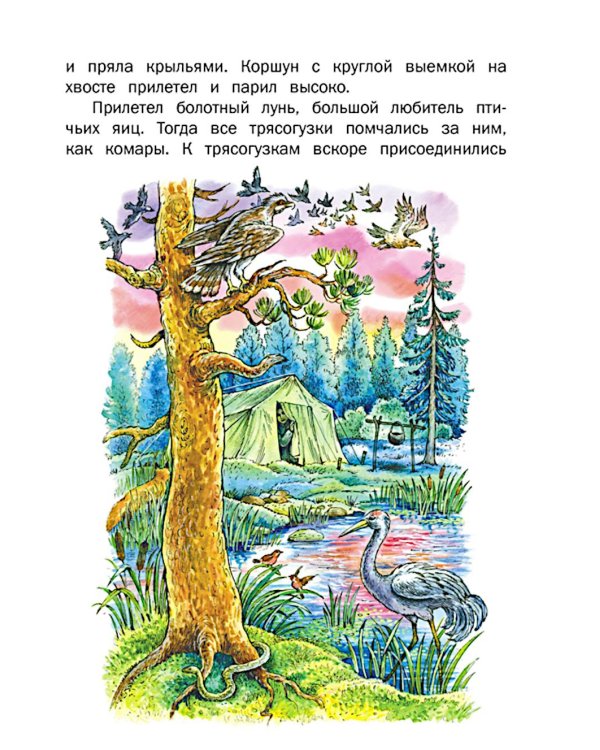 Внеклассное чтение