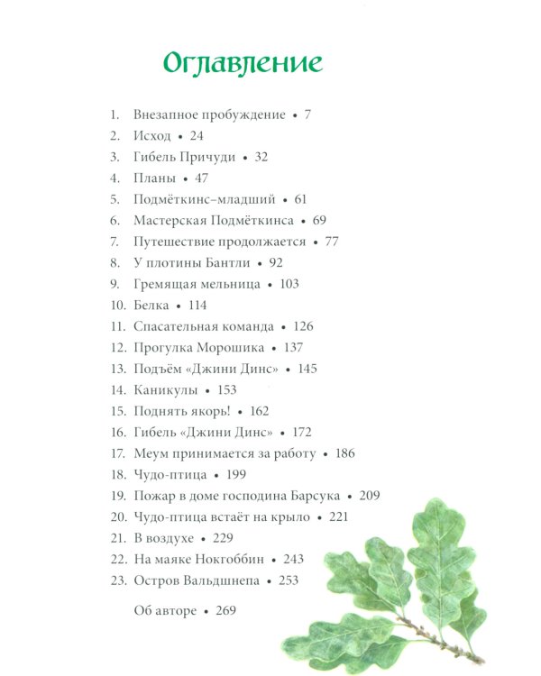 Вниз по Причуди