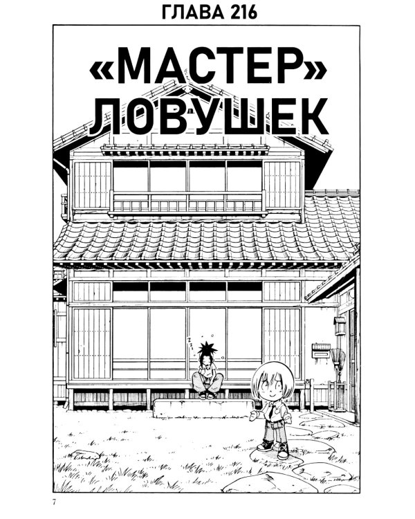 Король шаманов. Т.13: манга