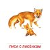 Дикие животные-2. 16 демонстрационных картинок с текстом на обороте