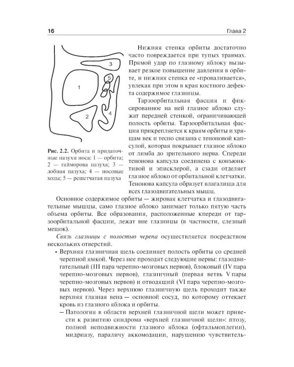 Дополнительное изображение книги «Офтальмология: Учебник. 3-е изд., перераб. и доп»