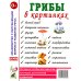 Грибы в картинках. Наглядное пособие для воспитателей, логопедов, педагогов, родителей