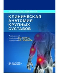 Клиническая анатомия крупных суставов: руководство для врачей