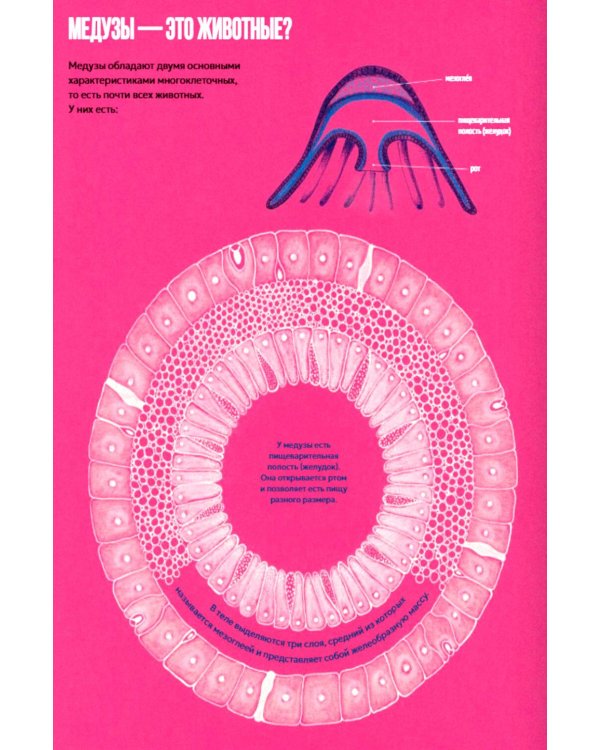 Дополнительное изображение книги «Сад медуз»