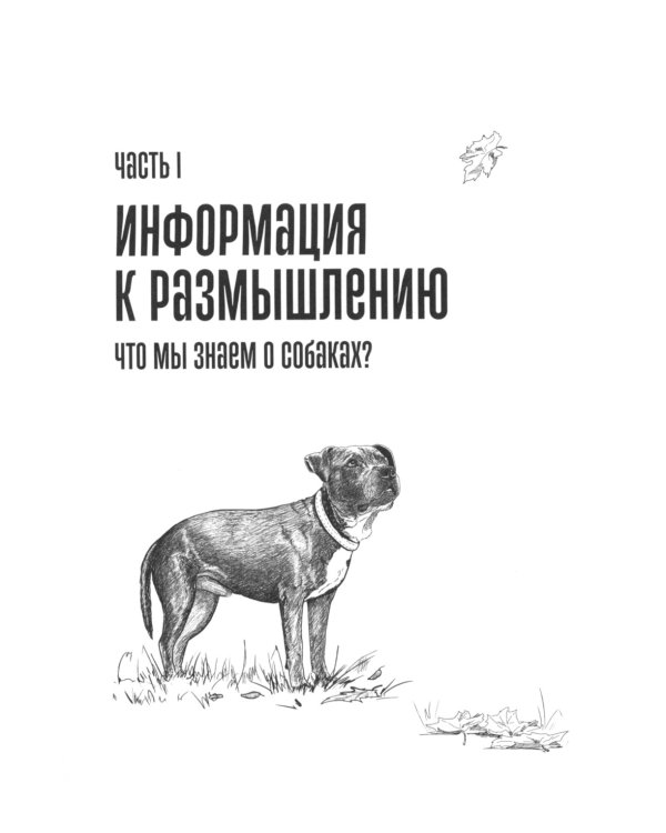 Мы, собаки и другие животные: Записки дрессировщика
