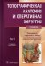 Топографическая анатомия и оперативная хирургия: Учебник. В 2 т. Т. 1. 2-е изд., доп