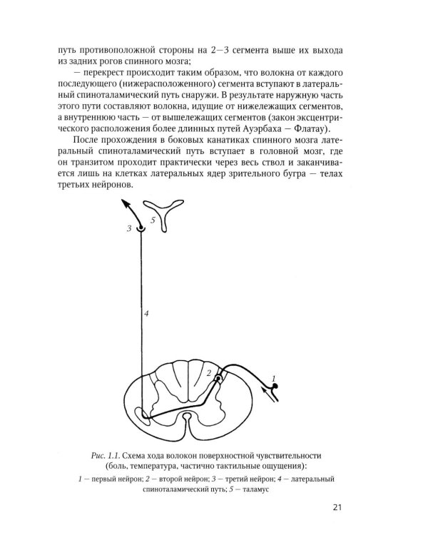 Клиническая диагностика в неврологии: руководство для врачей. 3-е изд., доп
