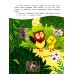 Уткенок в лесу!: книжка с наклейками