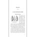 История древнего мира. 5-6 кл.