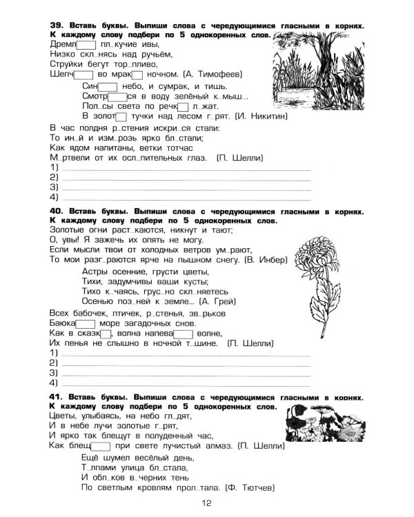 Русский язык. Сборник упражнений 6 кл. 17-е изд., стер